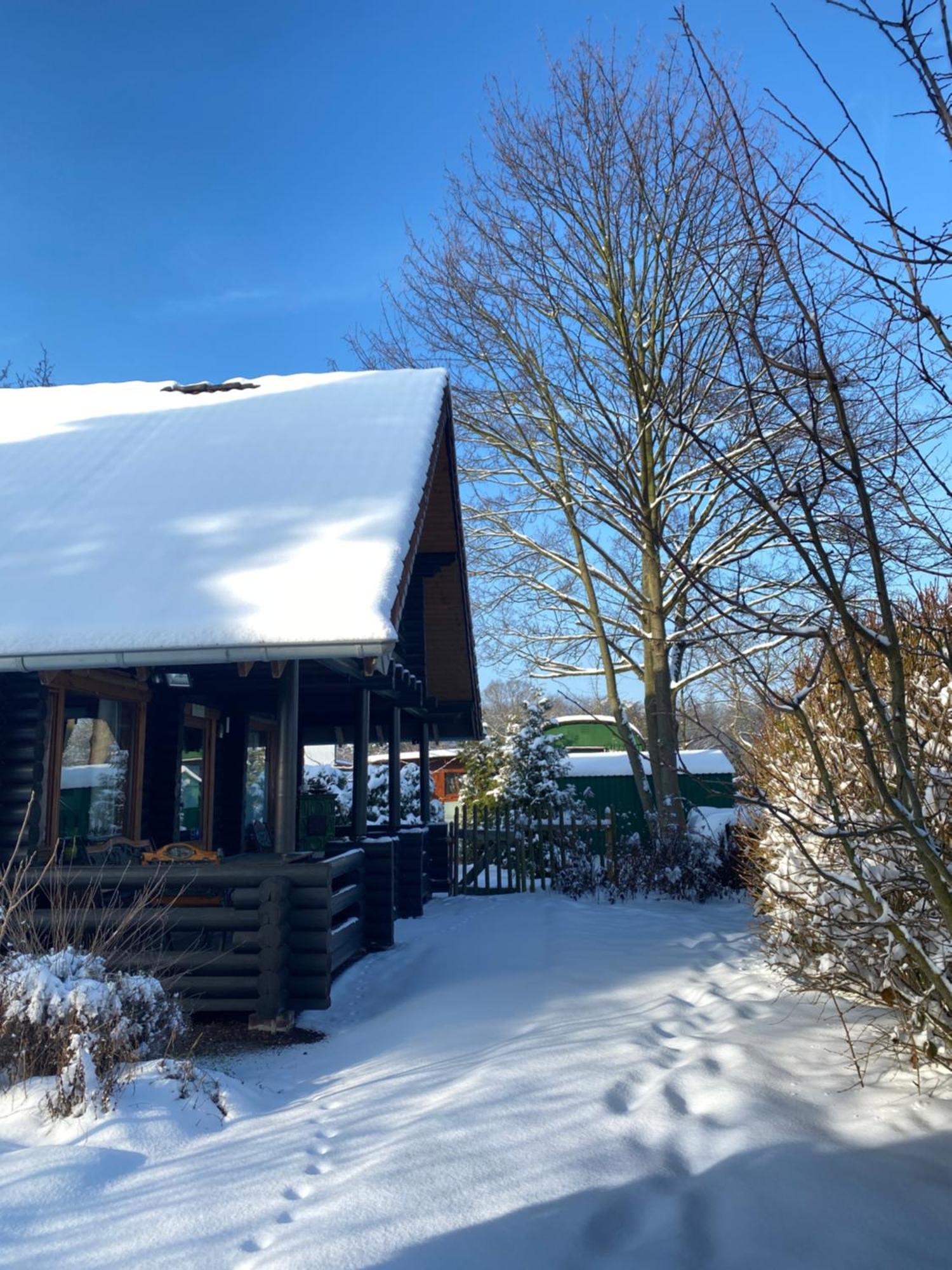 Eifel-Lounge Blockhaus Mit Kamin Garten Balkon Nahe Koeln Therme Bruehl Phantasialand Weilerswist Exteriör bild